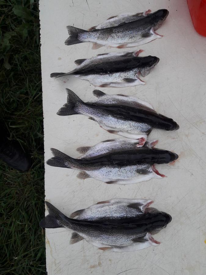 Fish Hotel Akhalkalaki エクステリア 写真
